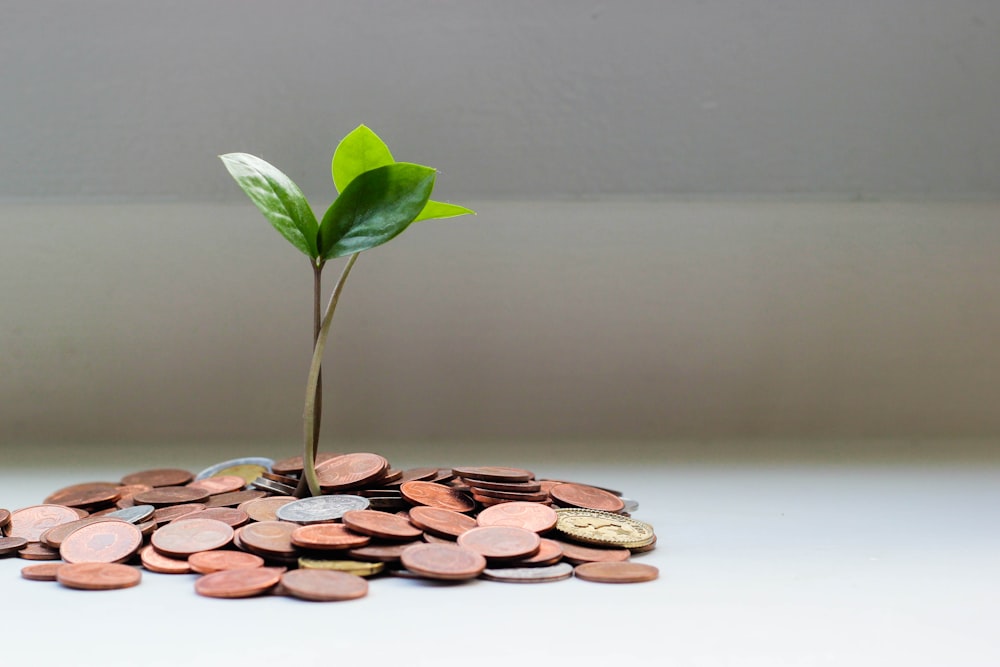 Ultra Short Duration Funds: Yield With Safety for 3-6 Month Goals (2026 Guide)